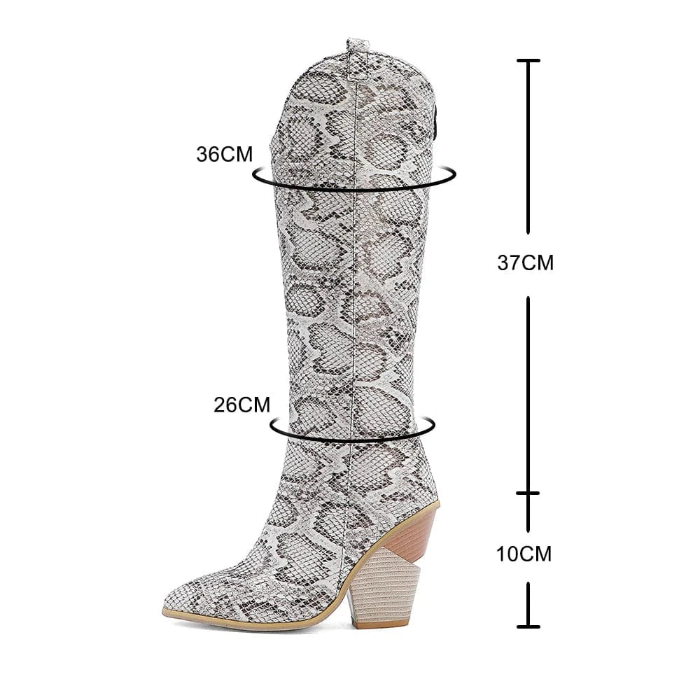 Élora – Santiags hautes en cuir irisé bicolore